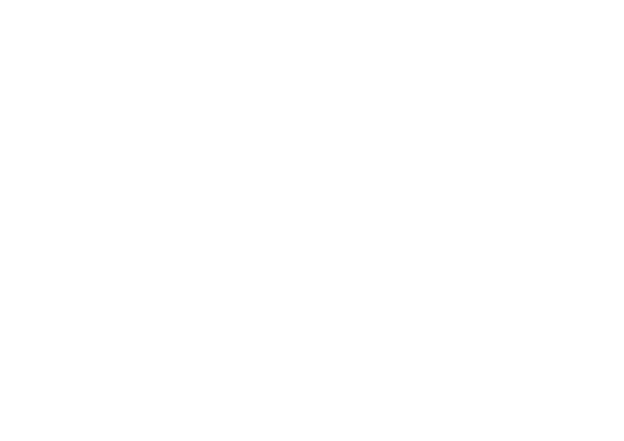 Le Bouillon Capitole